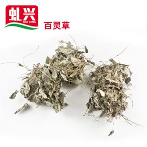 中国·yl9193永利集团(官方网站)-Unique Platform